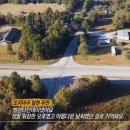 (주)길가옆에 이미지