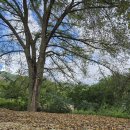 펜션 무이 | 평창 펜션무이 후기 – 창밖의 풍경과 고요한 밤의 여운🌙