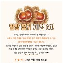 국가대표 본 태권도장 이미지