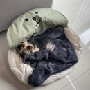 슬로우 인 풀빌라 네이버블로그