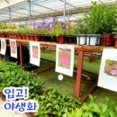 배바위농원 이미지