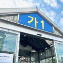 D/C공판장 | 양재 꽃시장 양재화훼공판장 반려식물 쇼핑하기
