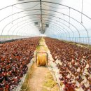 승산농장 이미지