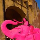 마이 캔버스 스토리 이미지