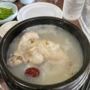 토속정이동식당 다이닝코드