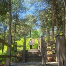 놀이존 VR | 천안상록랜드 어린이날 아이와 가볼만한곳 천안놀이공원 상록리조트 나들이 후기