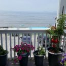 시밀레펜션 이미지