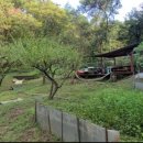 철마공인중개사사무소 이미지