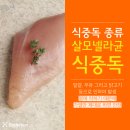 교대동물병원 이미지