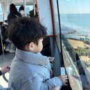 박물관역 맞은편 | 월미바다열차 예매 코스 주차 탑승 후기, 월미도 놀거리