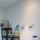 강릉경포씨앤뷰 이미지