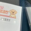 온담동물의료센터 이미지