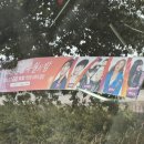 울주 피크닉 콘서트 유월의 밤 이미지