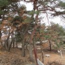 하천리-3 이미지