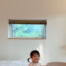 제주하뭄 이미지