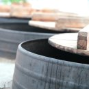 산속의친구 이미지