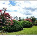 칠곡 왜관성당 이미지