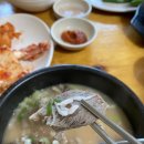 파주 광탄 맛집 추천, 푸릇한 논뷰 보며 즐기는 인생 순대국 ‘장군순대국’ 재방문 후기