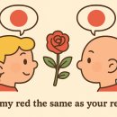 하늘아래 이미지