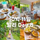 사누르 제주 | 10박 11일 발리여행 - Day.8 (우붓에서 사누르로, 마야 사누르 리조트)