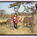 선사유적지 미롱이 이미지