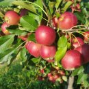 태송농원 이미지