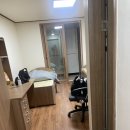 슬기로운유라생활 이미지