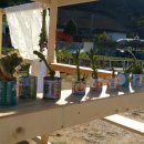 송시마을체험장 이미지