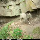 산양2호 이미지