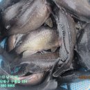 해솔바다낚시터 이미지