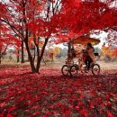 가정환경 - 926 | 가정환경