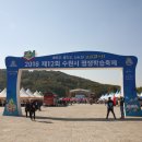 2018년 수원시 평생학습 축제에 뭐라도학교 3개팀 참가 이미지