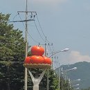 퇴촌떡집 | 경기 광주 퇴촌 맛집 여행 토마토국수 슬로우푸드 토마토 카페