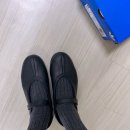 225 | 아디다스 스탠 스미스 LO 프로 재입고 시간 및 225 사이즈 후기