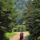 서울승마힐링캠프 이미지