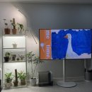 [용인 식물샵] 토분구경하러 남사화훼단지 다녀오기! | 지앤샵 | 지앤아트스페이스
