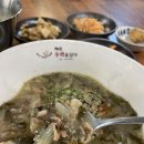[아라동 맛집] 몸국 고사리육개장 맛집 제주동백을담다_제주시