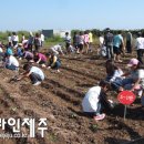 생드르영농조합법인, 고용노동부 '사회적기업' 인증 (보도자료) 이미지