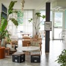 여주-0302 이미지