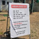 푸른산자리골프