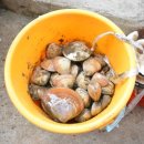 삼봉콘도민박 이미지