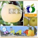 큰솔농장 네이버블로그