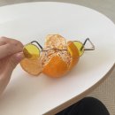 밧디글라