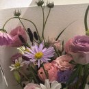 북면172 | 9월의 속초 그리고 고성도 한스푼!