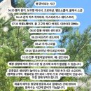 돈 크리크 카카오 검색결과