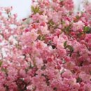 여주-0070 이미지