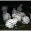 이작초등학교 이미지