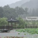 평창 월정사 삼전패 | 오대산에서 만나는 두 개의 보물창고 월정사 성보박물관과 국립조선왕조실록박물관