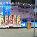 2013년 신안병어축제 준비중. 신안수협 송도어판장. 이미지