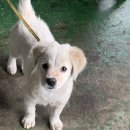 콩이카센타 이미지